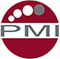 PMI Finance & Consulting