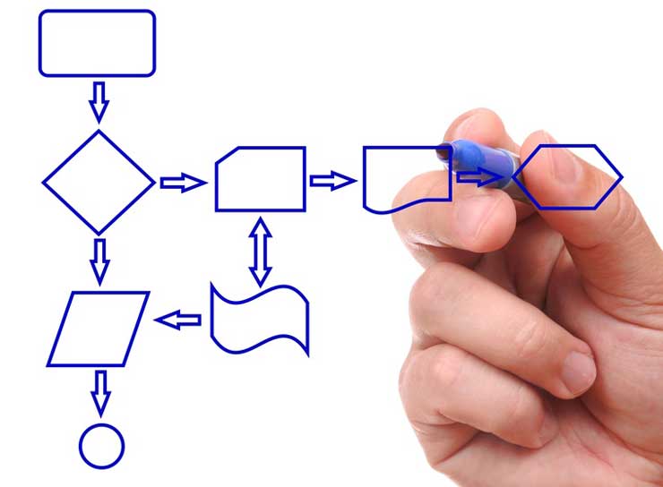  ORGANIZZAZIONE E PROCESSI